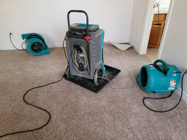 Best Water damage repair service  in Mexico Beach, FL