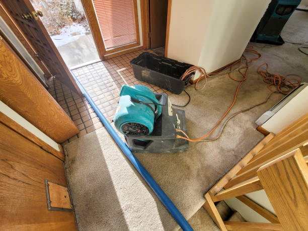 Best Residential water damage restoration  in Mexico Beach, FL