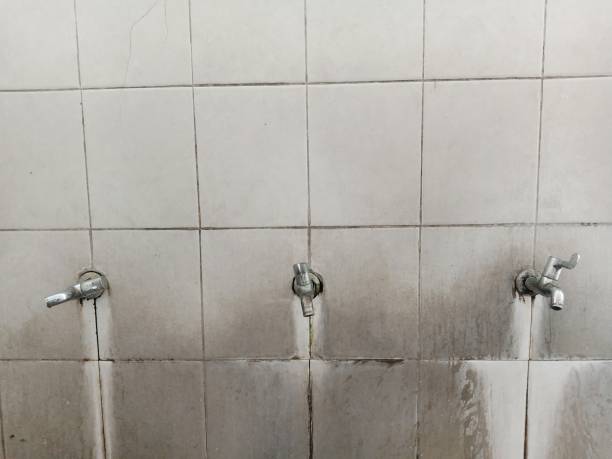 Best Local water damage restoration  in Mexico Beach, FL