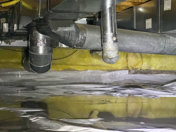 Best Carpet water damage restoration  in Mexico Beach, FL