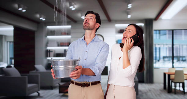 Best Ceiling water damage repair  in Mexico Beach, FL