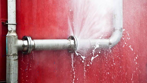 Carpet water damage restoration in Mexico Beach, FL