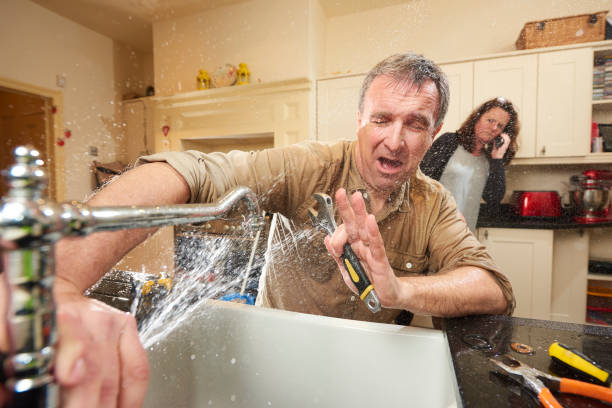 Best Flood damage cleanup  in Mexico Beach, FL